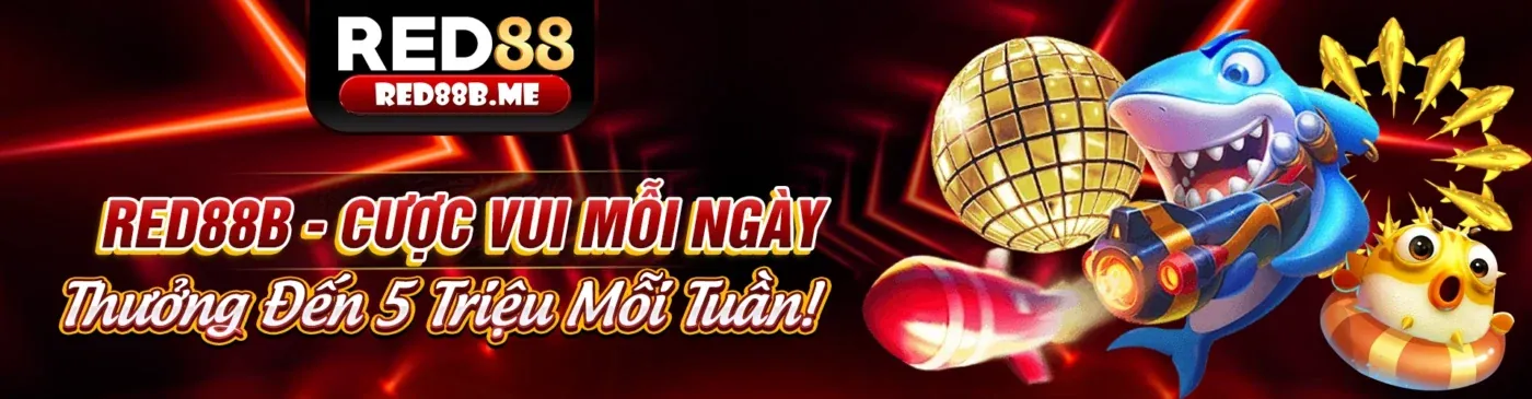 Tổng hợp các tính năng nổi bật của ứng dụng ok3686 nhà cái